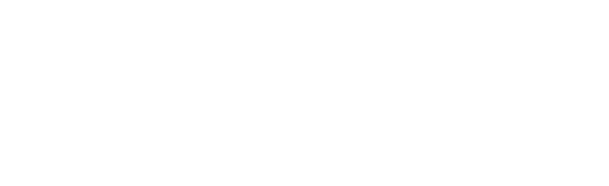 TAA Logo (no slogan) PNG white